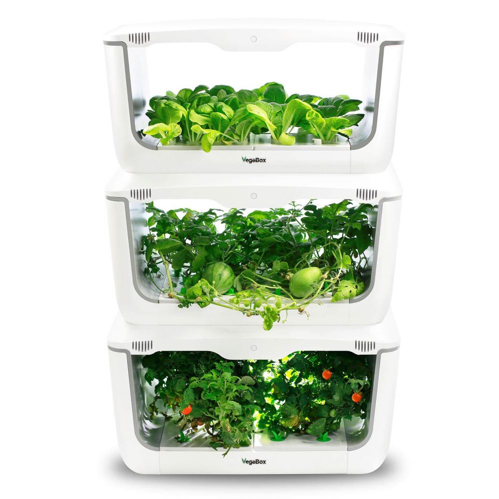 Kitchen-Box, White VegeBox Smart LED Hydroponics Growing System Indoor LED Lighting Herb Garden Germination Kits