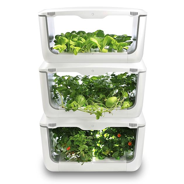 Vegebox Home Hydroponic Indoor Garden, Indoor Herb Garden Kit With Light Australia